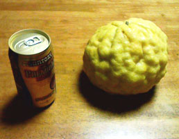 KC280001.jpg 258×200 14K