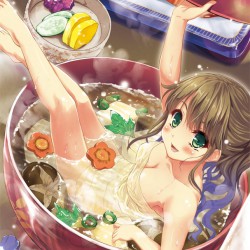 とらのあな コミケカタログ とらのあな コミケカタログ